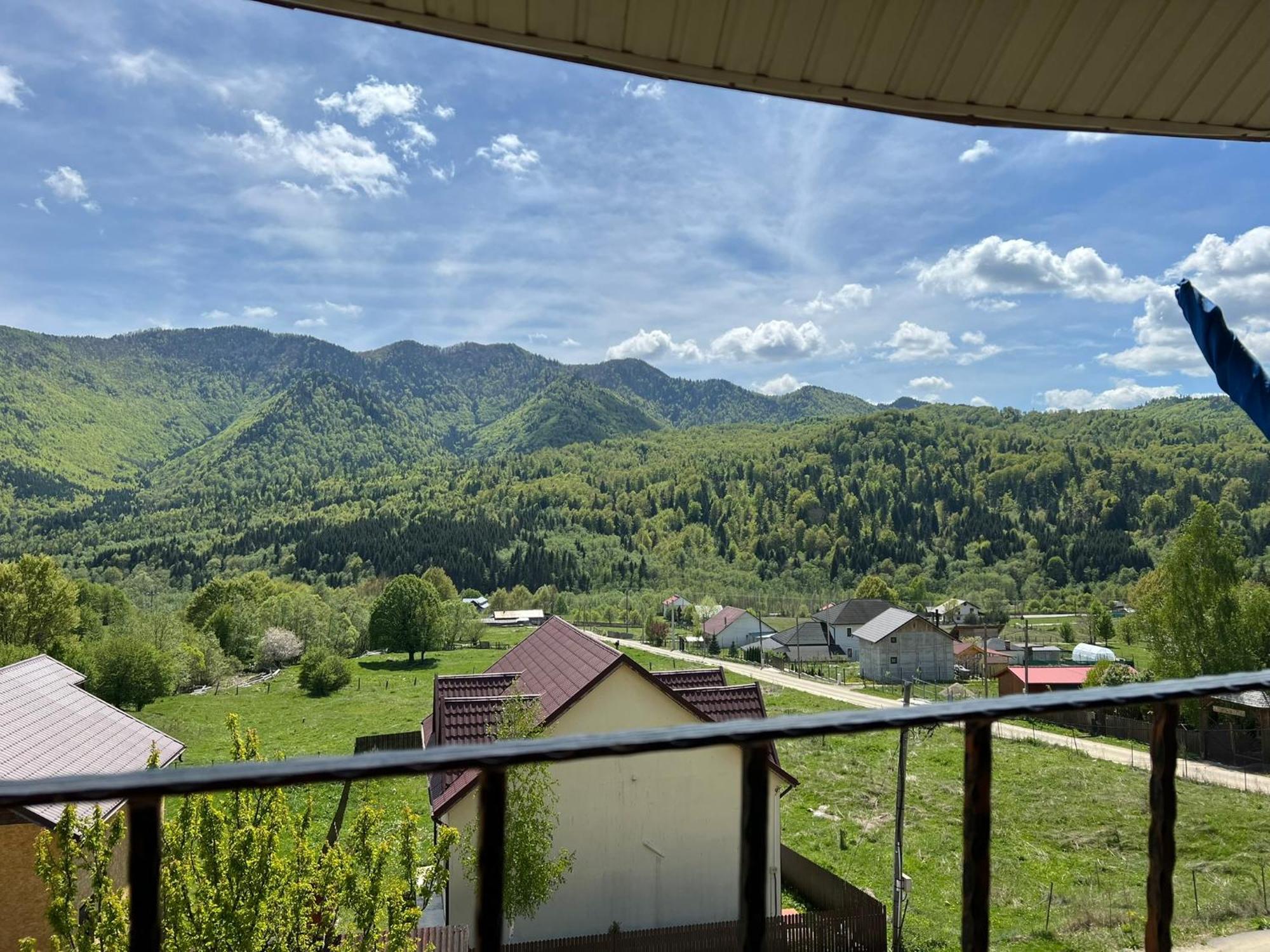 Casa Potcoava Hotel เลปชา ภายนอก รูปภาพ